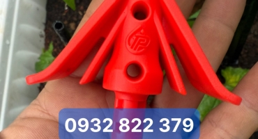 Tắc Kê Đất Đắk Lắk – Chuẩn Bị Ngay Trước Mùa Mưa Để Bảo Vệ Giàn Cây Hiệu Quả