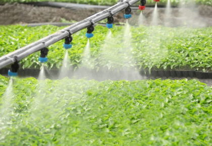 Mua Thiết Bị Tưới Ở Đâu Uy Tín Tại Đắk Lắk? Gợi Ý Địa Chỉ Đáng Tin Cậy