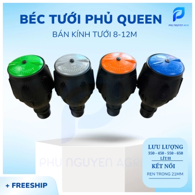 Béc Queen Tưới Phủ