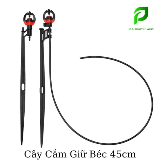 CÂY CẮM BÉC 45CM – 2 ĐẦU GÀI
