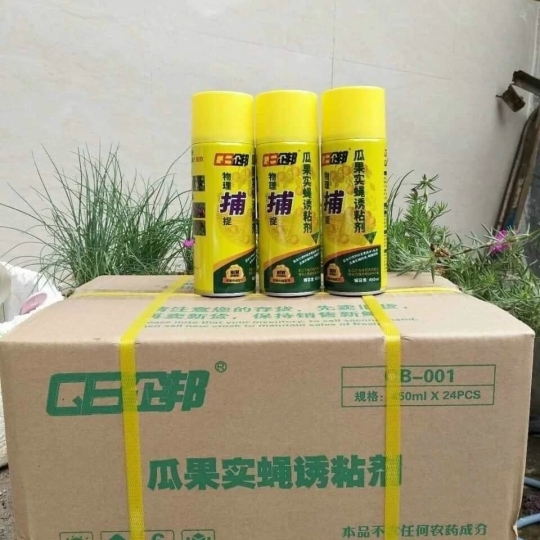 CHAI BẪY CÔN TRÙNG – BẪY RUỒI VÀNG