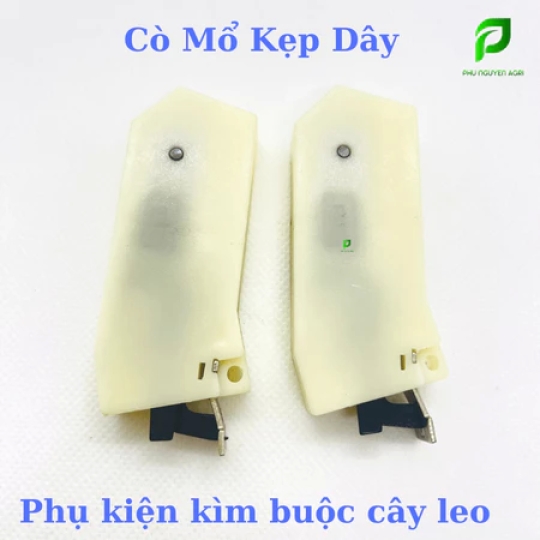 CÒ MỎ KẸP DÂY (Trắng)